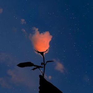 55°C（prod by HZ.MY）