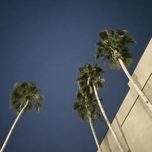 Say Goodbye (Hoodtrap Remix)