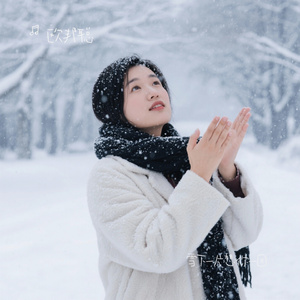 雪下一片想你一回