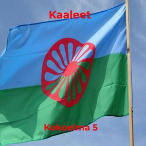 Risti loistaa (feat. Oulun Antti)