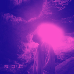 PRINCIPLES (slowed)