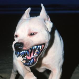 V12 (feat. Trill Flackø)