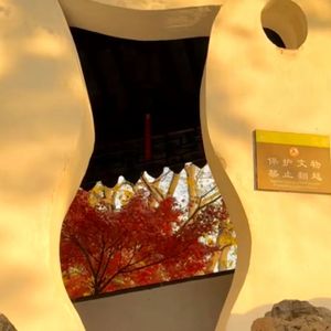 朋友
