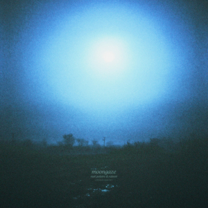 moongaze