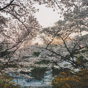 봄이 오나봐 (feat. 성일)