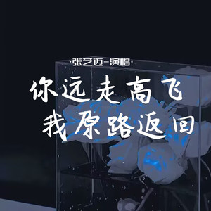 你远走高飞 我原路返回 (合唱版)