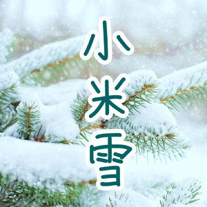 小米雪
