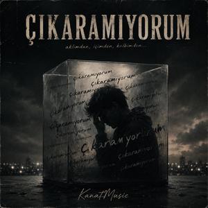 Çıkaramıyorum
