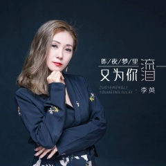昨夜梦里又为你流泪 (DJ默涵版)