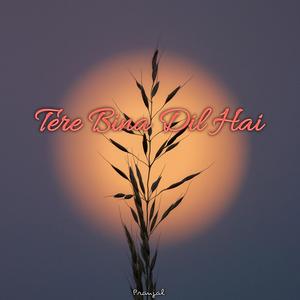 Tere Bina Dil Hai