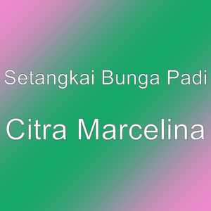 Citra Marcelina