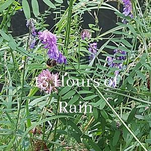 Sapphire in the Night