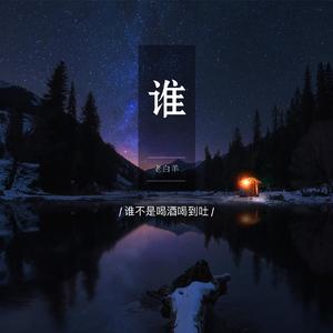 谁（走心男版）