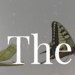 You Don't Have To Be A Baby To Cry