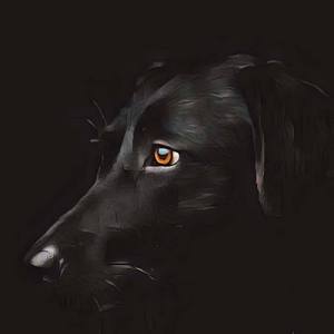 Perro Fiel (Instrumental)