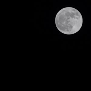 20220404_153341_20220720_124134