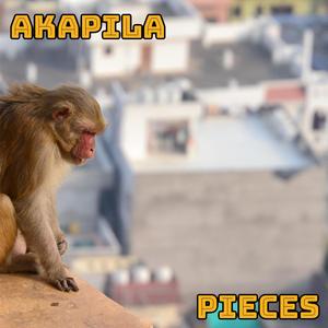 Idiot in Punjab पंजाब में बेवकूफ