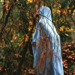 Su(4 Elements-Water)