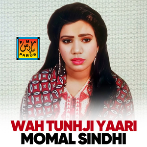 Waat Tunhji Niharyan