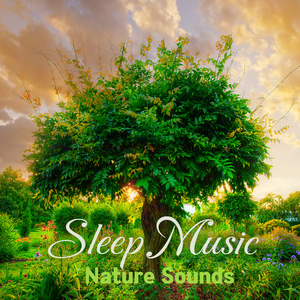 느림의 미학 (빗소리)