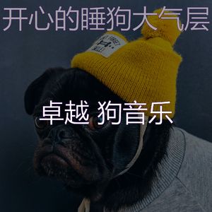 诗意的幼犬节奏