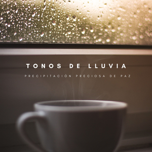 Lugar Amigable De Lluvia