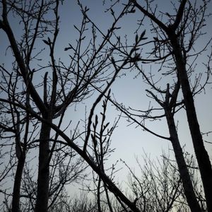 GTA San Andreas (FingerStyle)