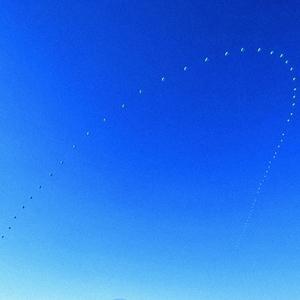 I Want You To Be Free