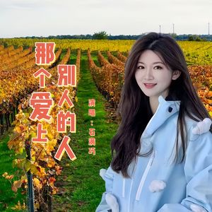 那个爱上别人的人(DJ版)