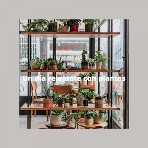 Simple Ambiance for Sunday Lie Ins