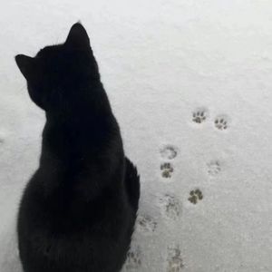 电台情歌（cover莫文蔚）