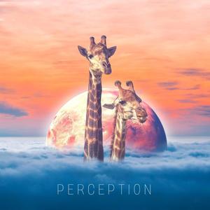 P E R C E P T I O N