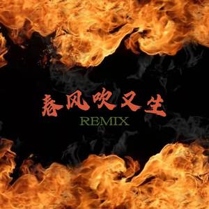 春风吹又生REMIX
