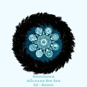 Omuzumda Ağlayan Bir Sen (Zs - Remix V1)