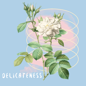Delicateness