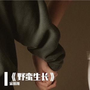 眼镜看到了奇迹