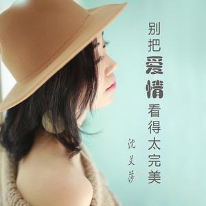 别把爱情看得太完美-沈艾莎