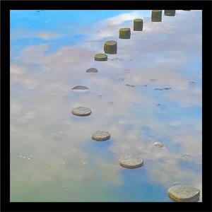 Cacti (feat. Benjamin Todd)