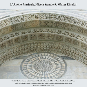 Concerto in G Minor for Violin, Strings and Continuo, Op. 8, No. 2, Rv 315, “l’ Estate” (Summer): II. Adagio