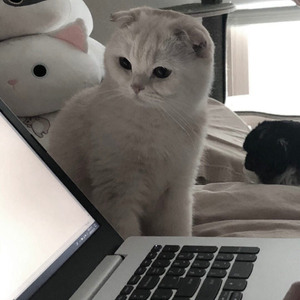 I've Never Felt so Alone - Slowed & Filtered