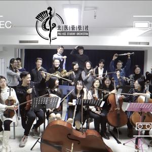 【游戏王】怪兽之决斗组曲（热烈的决斗者 神之怒 克里底亚之牙 友谊之羁绊 等）管弦乐演奏（翻自 光宗信吉）