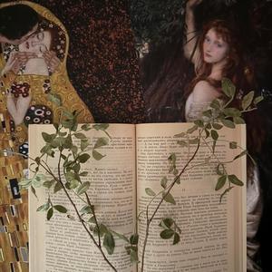 hijo de la luna x love story