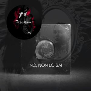 NO, NON LO SAI