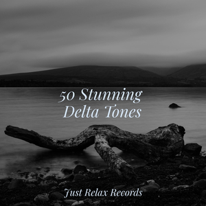 Enshrouded in Dusky Solitude