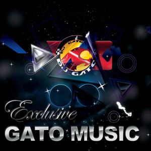 DJ Gato Cumbia Mix 2023 #1