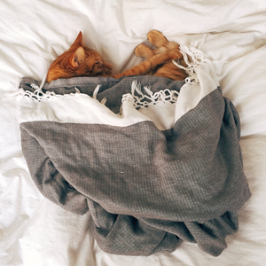 Chilled