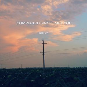 Completed since I met you