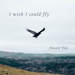 I wish I could fly