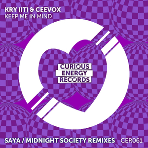 Keep Me In Mind (Midnight Society Remix (Edit))