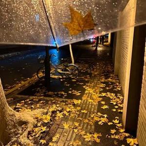 借你的双手温暖时间